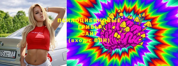 бутират Бугульма